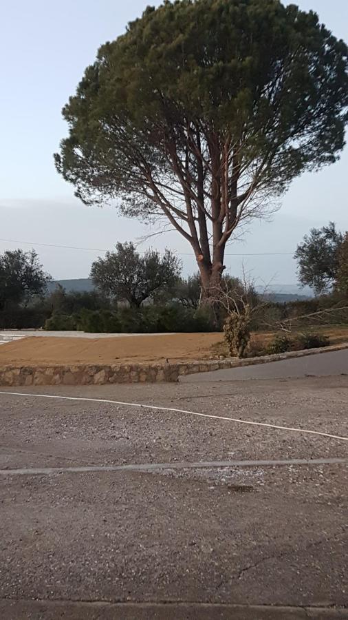 Appartamento Ancient Olympia , Mangata